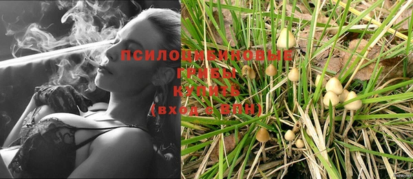 СК Осташков