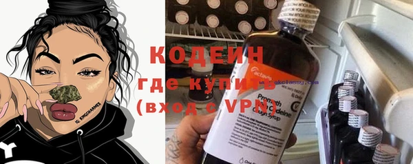 шишки Нязепетровск