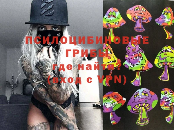 шишки Нязепетровск
